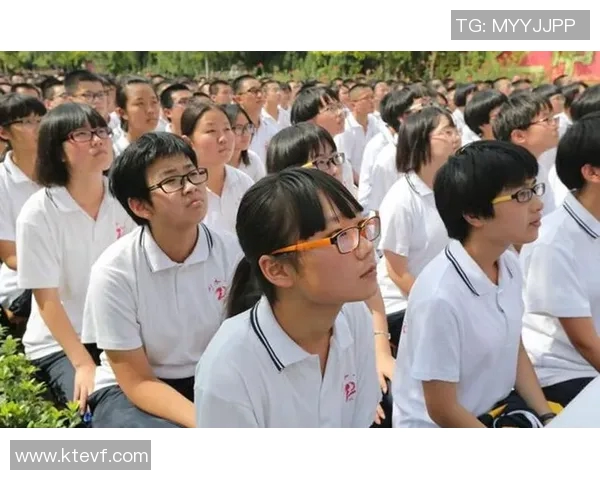 杭州乒乓球队的拼搏之路与荣耀时刻全景回顾