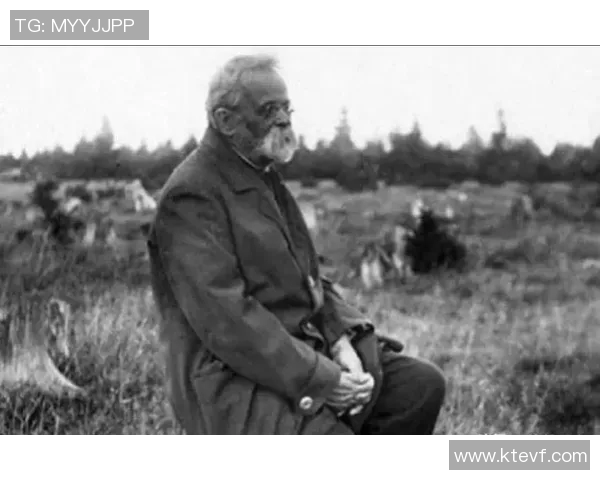 尼古拉武切维奇的艺术探索与对现代文化的影响分析 尼古拉武切维奇的艺术探索与对现代文化的影响分析