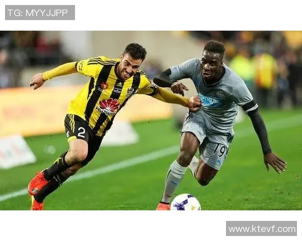 惠灵顿与布里斯班吼的精彩对决分析与赛季展望